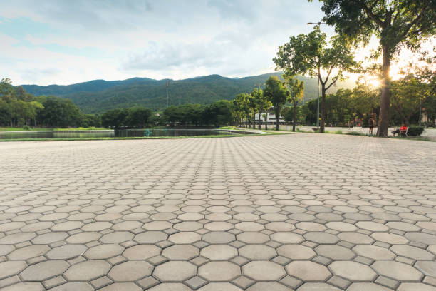 Best Professional Driveway Pavers  in Red Bank, SC