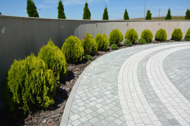 Best Affordable Driveway Pavers  in Red Bank, SC